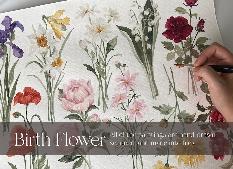 Puede incluir: Una pintura de acuarela de varias flores, incluyendo una amapola roja, una peon&iacute;a rosa, una margarita blanca, un narciso amarillo, un iris morado, una rosa roja y un lirio de los valles blanco. El texto "Birth Flower" est&aacute; en la parte inferior de la imagen. El texto "All of the paintings are hand drawn, scanned, and made into files." tambi&eacute;n est&aacute; en la parte inferior de la imagen.