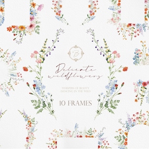 Fleurs sauvages délicates, aquarelle de fleurs sauvages PNG, des cliparts de fleurs sauvages, aquarelle de fleurs, des cliparts de fleurs, des fleurs sauvages PNG