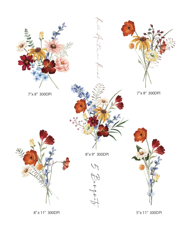 May include: Watercolor floral bouquets in shades of red, orange, yellow, and blue. The image includes five bouquets with the text "full Autumn floral" and "5 Bouquets". Each bouquet has dimensions noted in inches and DPI.