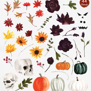 May include: Watercolor illustrations of Halloween themed elements, including pumpkins, skulls, flowers, leaves, and a spooky face. The illustrations are in shades of orange, green, white, black, and red.