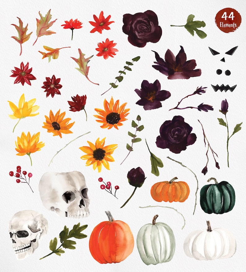 May include: Watercolor illustrations of Halloween themed elements, including pumpkins, skulls, flowers, leaves, and a spooky face. The illustrations are in shades of orange, green, white, black, and red.