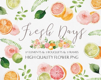 Fresh days, Fruit flower Clipart, Watercolor orange flower, Orange flower clipart, Summer fruit bouquets, Fresh bouquet, Orange clipart