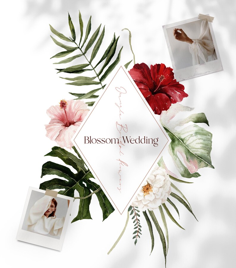 Jungle Bridal, Watercolor clipart, Watercolor flower, Summer clipart, Monstera Clipart, Summer Wedding, Tropical Clipart, Pampass Clipart image 4