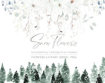 May include: Watercolor clipart set featuring delicate white snow flowers, green leaves, and a snowy forest scene. The set includes 46 elements, 5 bouquets, and 4 frames.  The text "Snow Flowers" is written in cursive script.  The text "Flowers Clipart 300DPI PNG" is also included.