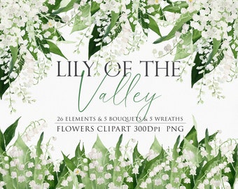 Può includere: Illustrazione ad acquerello con fiori bianchi di mughetto e foglie verdi. Il testo "LILY OF THE VALLEY" è visualizzato sopra i fiori, con testo aggiuntivo che indica 26 elementi, 5 bouquet e 5 ghirlande.