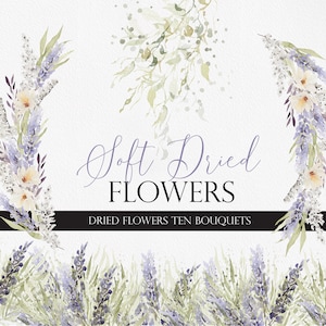 Flores secas macias, flor aquarela PNG, clipart aquarela, flor boho, flores secas, buquês de aquarela, convite de casamento