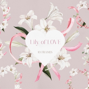Lilie der LIEBE, Aquarell Blume, Aquarell Lilie, Lilien Blume png, Lilie Clipart, Rosa Band Clipart, Valentinstag Clipart, Blume PNG