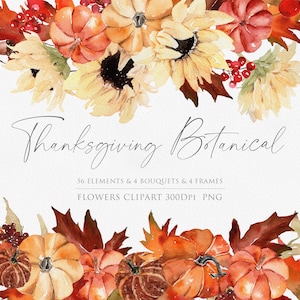 Clipart ad acquerello del Ringraziamento, Botanico autunnale, Fiore ad acquerello PNG, Clipart di zucca, Clipart di girasole, PNG del ringraziamento