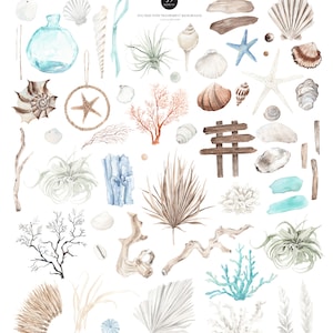 OCEAN Boho, Summer Clipart, Ocean Clipart, Coral clipart, Watercolor Clipart, Watercolor Beach, Watercolor Ocean, Watercolor Summer Boho image 2