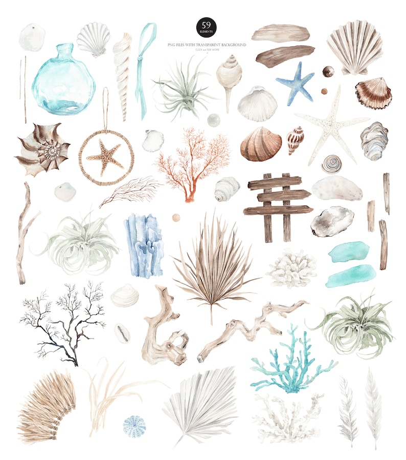 OCEAN Boho, Summer Clipart, Ocean Clipart, Coral clipart, Watercolor Clipart, Watercolor Beach, Watercolor Ocean, Watercolor Summer Boho image 2