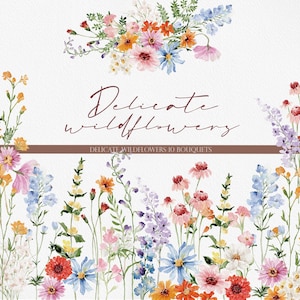 Fleurs sauvages délicates, aquarelle de fleurs sauvages PNG, des cliparts de fleurs sauvages, aquarelle de fleurs, des cliparts de fleurs, des fleurs sauvages PNG