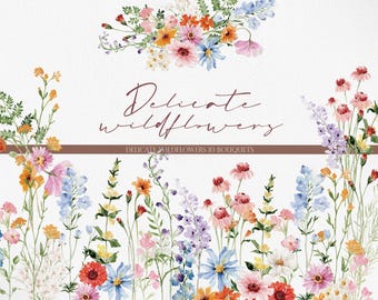 DELICATE Wildflowers, Watercolor Wildflower PNG, Wildflower Clipart, Watercolor Flower, Flower Clipart, Wildflower PNG