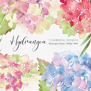 Aquarell Clipart, Hortensie Bouquet, Blumenarrangements, Wildblumen Clipart, handbemalt Hortensie, Hochzeit Clipart, Blumen Aquarell