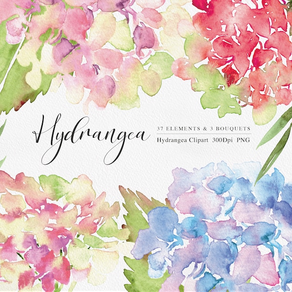 Watercolor Clipart, Hydrangea Bouquet, Floral arrangements, wildflower Clipart, Hand Painted Hydrangea, Wedding Clipart, Floral Watercolor