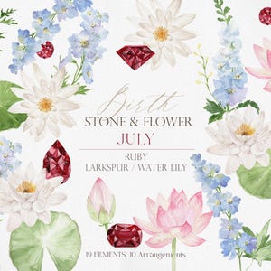 May include: A digital illustration featuring July birthstone and flower elements, including red rubies, blue larkspur, and white and pink water lilies. The text reads: Birth Stone & Flower July, Ruby, Larkspur / Water Lily, 19 Elements 10 Arrangements.