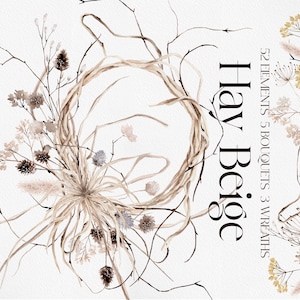 HAY Beige, Clipart acquerello, Acquerello Boho, Clipart Boho, Fiore secco, Clipart fiore, Boho Fiore PNG, Fiore acquerello,
