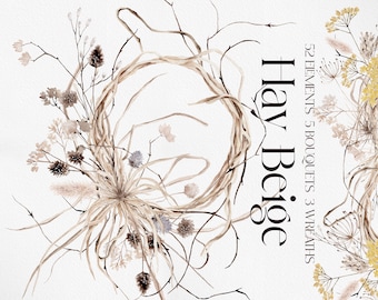 HAY Beige, Watercolor Clipart, Watercolor Boho, Boho Clipart, Dried Flower, Flower Clipart, Boho Flower PNG, Watercolor Flower,
