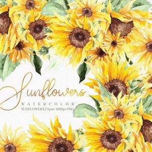 Sonnenblumen Clipart, Greenery Aquarell Bouquets, SonnenblumenStrauß, Blumenarrangements, Sonnenblumenkunst, Aquarell Clipart