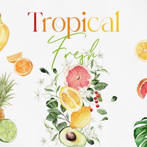 Tropische vers, aquarel clipart, aquarel fruit clipart, tropische clipart, fruit clipart, oranje clipart, Citrus clipart, aquarel citrus