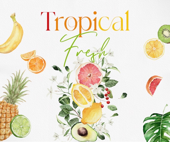 Tropical Fresh,Watercolor Clipart,Watercolor Fruit Clipart,Tropical Clipart, Fruit Clipart,Orange clipart, Citrus Clipart, Watercolor Citrus