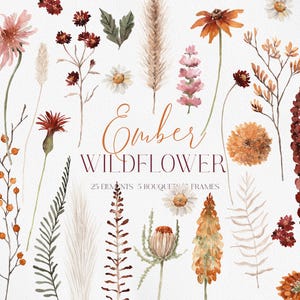 May include: A watercolour illustration featuring a collection of wildflowers in pink, orange, and burgundy hues. The image includes individual floral elements, with the text "Ember Wildflower" and the description "25 Elements 5 Bouquets 7 Frames".