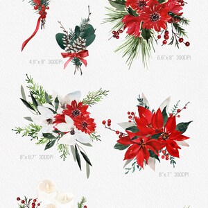K&ouml;nnte beinhalten: Sieben Aquarell-Illustrationen von Weihnachtsstr&auml;u&szlig;en mit roten Weihnachtssternen, Tannenzweigen, Beeren und Tannenzapfen. Die Str&auml;u&szlig;e sind in verschiedenen Gr&ouml;&szlig;en und Stilen angeordnet, einige mit Kerzen und andere mit einem roten Band.