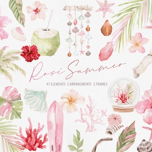 Rosado de verano, acuarela rosa de verano, concha rosa, coral, concha, acuarela de verano, acuarela rosa tropical