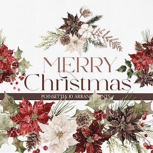 Feliz Natal, Clipart de Natal em aquarela, Poinsétia em aquarela, Clipart de Poinsétia, Boho Natal PNG, Boho Poinsétia PNG