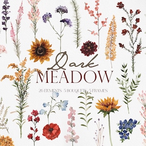 Dunkle Wiese, Aquarell Herbst Wildblumen, Wildblumensträuße, Aquarell Wildblumen PNG, Herbst Wildblumen, Herbstblume PNG