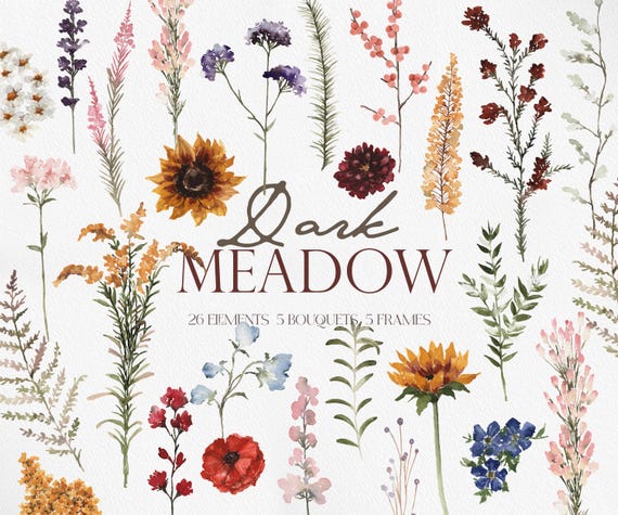 Dark MEADOW, Watercolor Fall Wildflower, Wildflower Bouquets, Watercolor Wildflower PNG, Fall Wildflower, Autumn Flower PNG