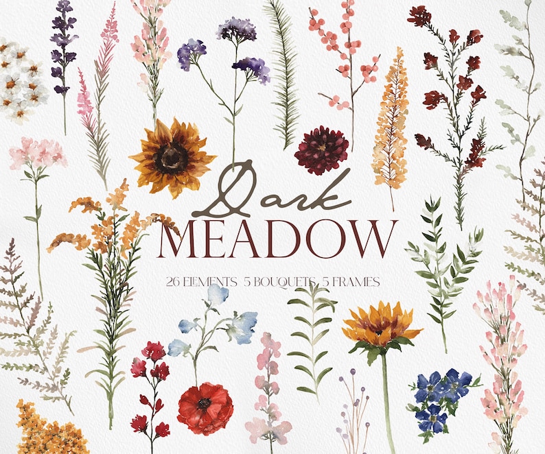 May include: Watercolor illustrations of various flowers and foliage in shades of red, pink, yellow, blue, and green. The text "Dark Meadow" is written in a handwritten font. The text "26 Elements 5 Bouquets 5 Frames" is also included.