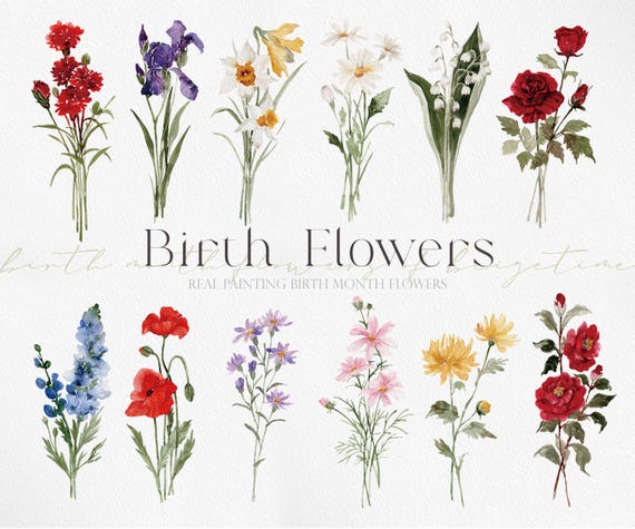 Watercolor Birth Flowers, Month Flower Clipart, Birth Flower PNG, Flower Bouquets, Watercolor Birth Month Flowers