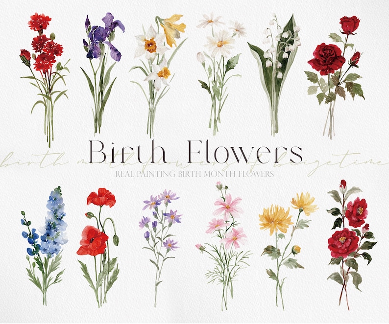 Flores de nacimiento en acuarela, clipart de flores del mes, PNG de flores de nacimiento, ramos de flores, flores de nacimiento en acuarela imagen 1