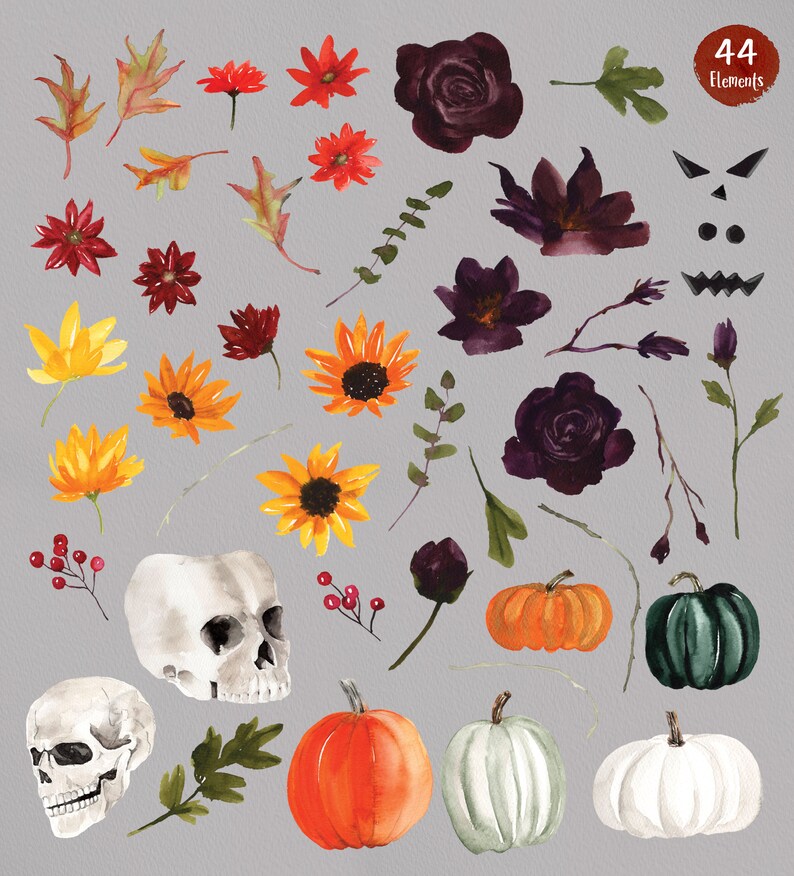 May include: A set of 44 watercolor illustrations featuring Halloween and fall themes. The set includes pumpkins, skulls, flowers, leaves, and a spooky face. The illustrations are painted in a variety of colors, including orange, black, white, red, and green.