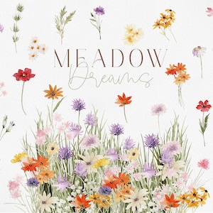 MEADOW Dreams, flores silvestres em aquarela, PNG de flores em aquarela, clipart em aquarela, clipart de flores silvestres, flores silvestres PNG, flores de primavera