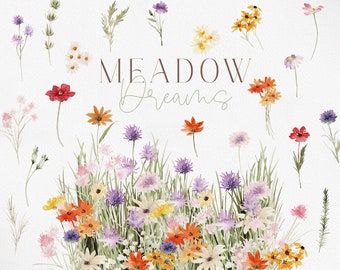 MEADOW Dreams, Watercolor Wildflower, Watercolor Flower PNG, Watercolor Clipart, Wildflower Clipart, Wildflower PNG, Spring Flowers