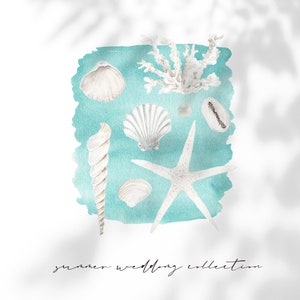 OCEAN Boho, Summer Clipart, Ocean Clipart, Coral clipart, Watercolor Clipart, Watercolor Beach, Watercolor Ocean, Watercolor Summer Boho image 9