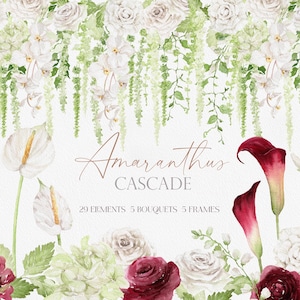 Pode incluir: Design floral em aquarela com rosas brancas, orquídeas e folhagem verde em cascata. Inclui callas bordô, amaranto e antúrios. O texto diz "Amaranthus Cascade" com detalhes de 29 elementos, 5 buquês e 5 molduras.