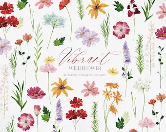 VIRANT Wildflowers, Watercolor Wildflower, Summer Wildflowers, Garden Art, Summer Garden Flower, Flower Invitation