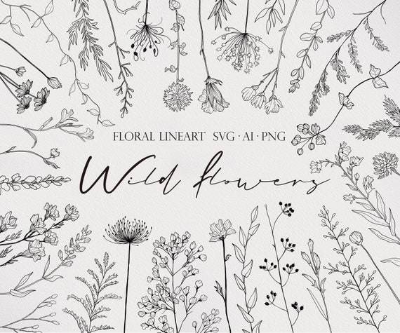 Wild Flower SVG, Flower Clipart, Flower LineART, Botanical LineART, Floral Bundle SVG, Minimalist Flower. Wild Flower Clipart, Botinicalart