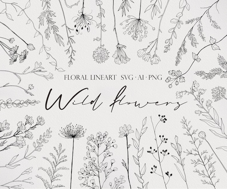 May include: A collection of black and white line art illustrations of wild flowers. The illustrations are simple and delicate, and they would be perfect for use in a variety of creative projects.