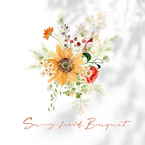 SONNIGE Feld, Aquarell Blume, Aquarell Clipart, Aquarell Wildblume, Sommer Blume PNG, Aquarell Sommer, WildFlower Clipart