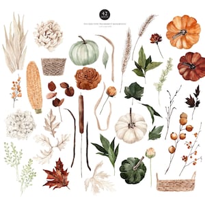 May include: A set of 42 watercolor illustrations featuring autumnal elements, including pumpkins, gourds, leaves, flowers, and branches. The illustrations are perfect for creating fall-themed designs, invitations, and crafts.