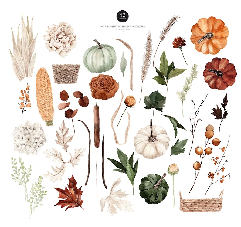 May include: A set of 42 watercolor illustrations featuring autumnal elements, including pumpkins, gourds, leaves, flowers, and branches. The illustrations are perfect for creating fall-themed designs, invitations, and crafts.