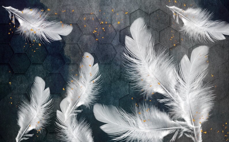 3D White Feathers Wallpaper, Wall Mural, Wall Art Black White Wall ...