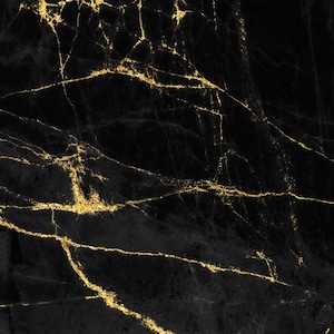 May include: Black marble background with gold veins. The marble has a dark, almost black, background with thin, gold veins running through it.