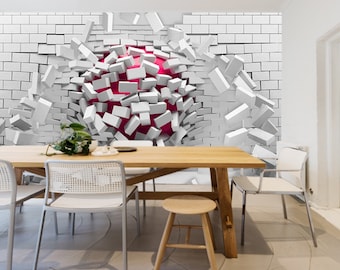 邦楽 ILLUSION - BROKEN WALL You'll Either See it Right Away – Or Need Some Help