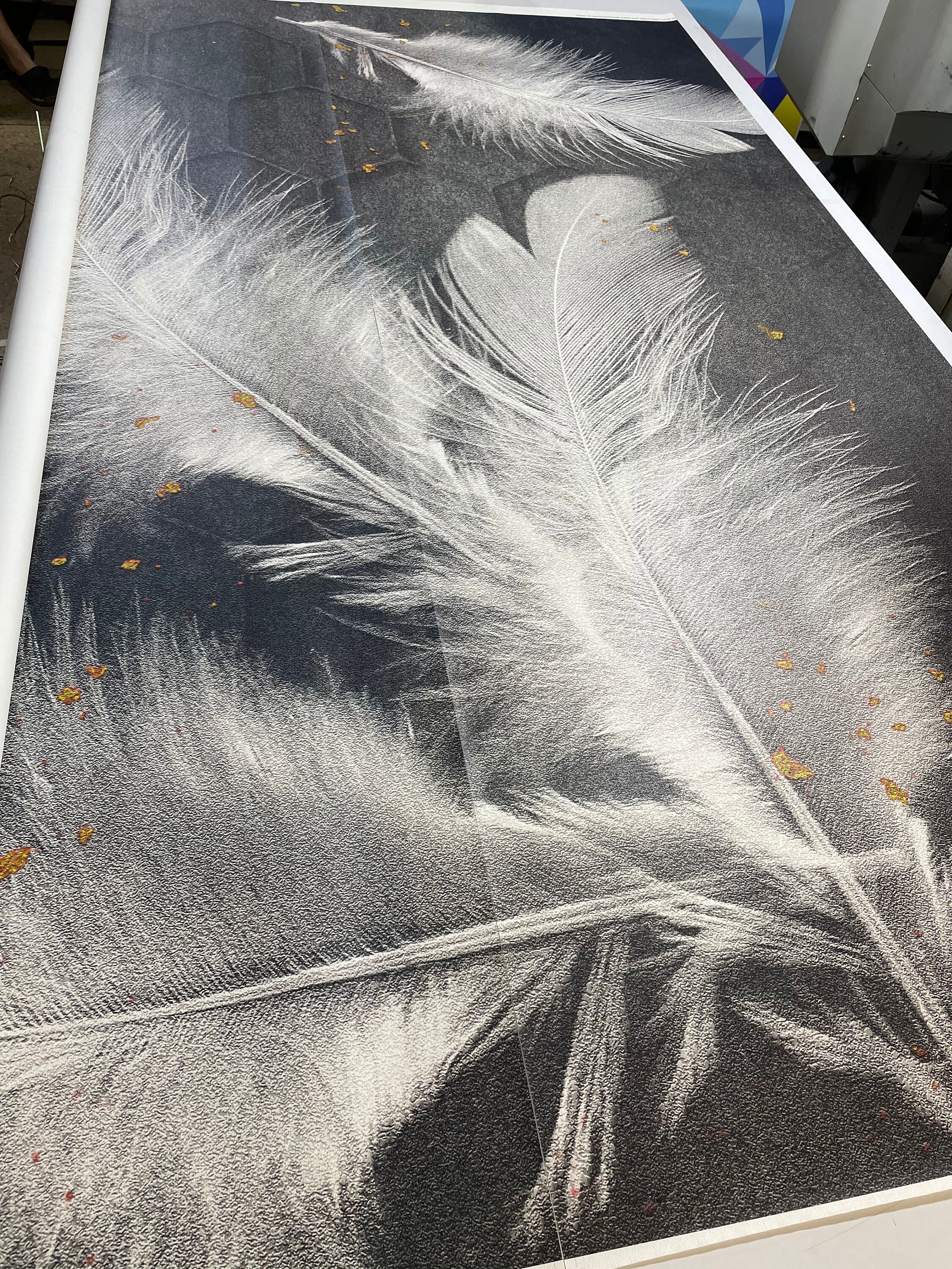 3D White Feathers Wallpaper, Wall Mural, Wall Art Black White Wall ...