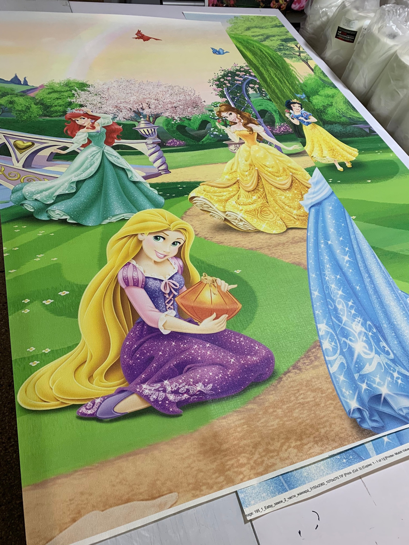 Large Princess Wallpapers Kids Room Princess Wall Decor Etsy