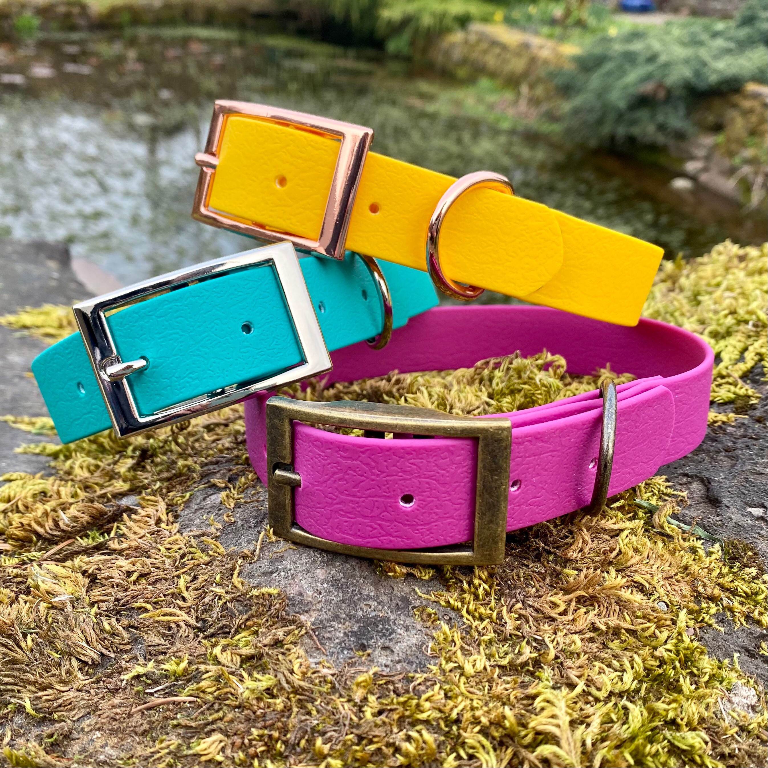 Waterproof Dog Collar - Single Colour